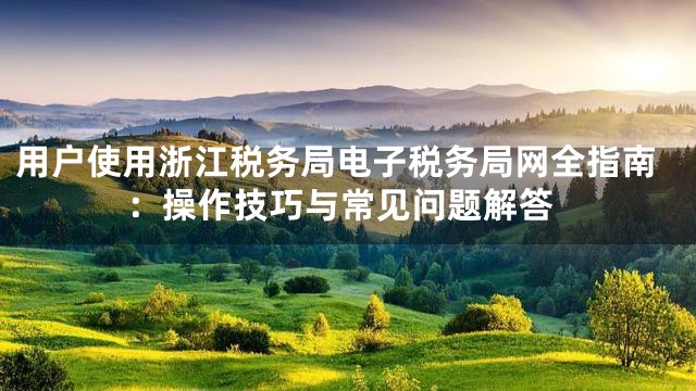 用户使用浙江税务局电子税务局网全指南：操作技巧与常见问题解答