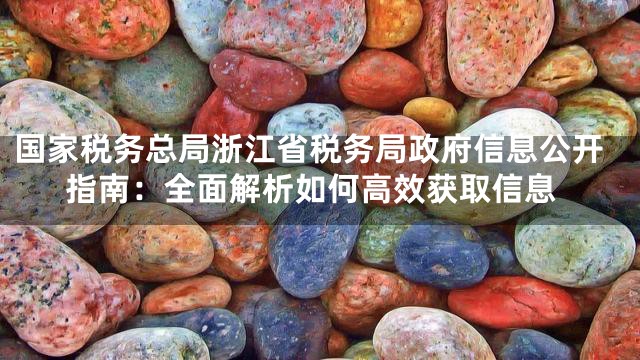 国家税务总局浙江省税务局政府信息公开指南：全面解析如何高效获取信息