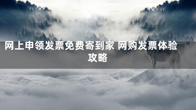 网上申领发票免费寄到家 网购发票体验攻略