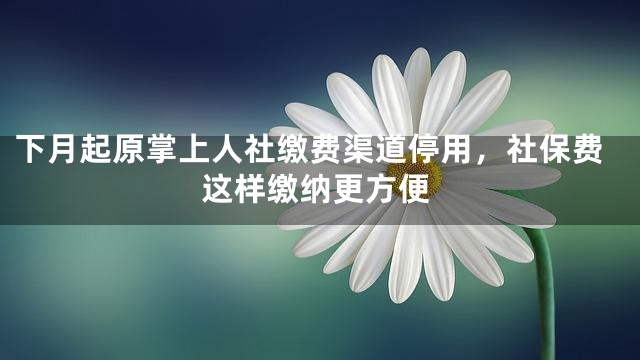 下月起原掌上人社缴费渠道停用，社保费这样缴纳更方便