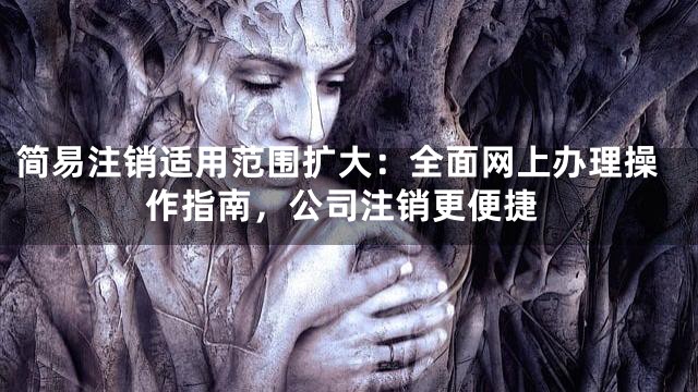 简易注销适用范围扩大：全面网上办理操作指南，公司注销更便捷