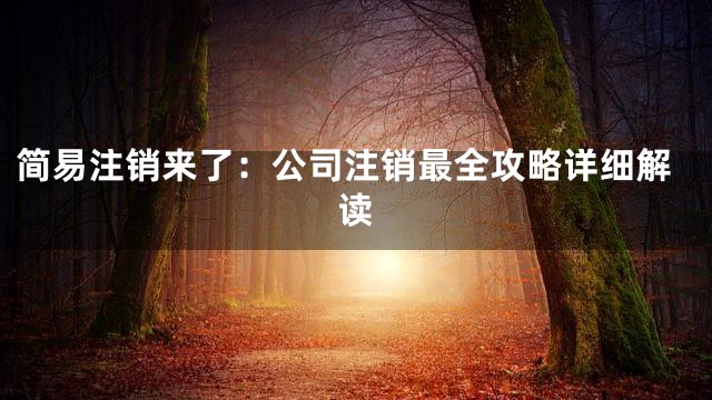 简易注销来了：公司注销最全攻略详细解读