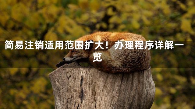 简易注销适用范围扩大！办理程序详解一览