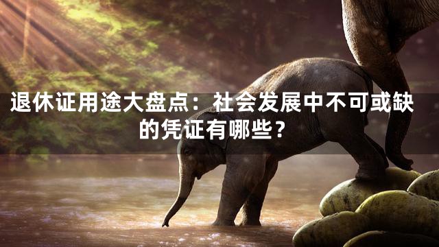 退休证用途大盘点：社会发展中不可或缺的凭证有哪些？