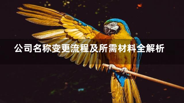 公司名称变更流程及所需材料全解析