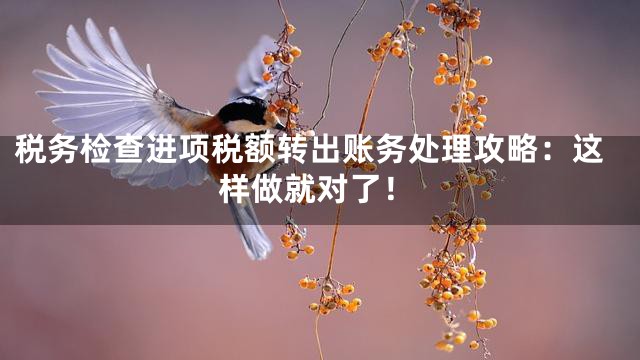 税务检查进项税额转出账务处理攻略：这样做就对了！