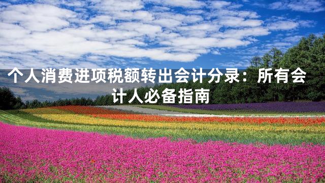 个人消费进项税额转出会计分录：所有会计人必备指南