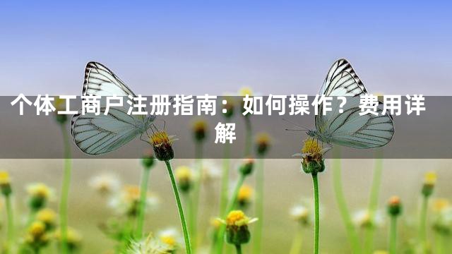 个体工商户注册指南：如何操作？费用详解
