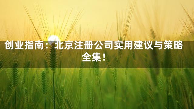 创业指南：北京注册公司实用建议与策略全集！