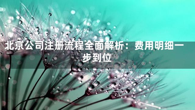 北京公司注册流程全面解析：费用明细一步到位