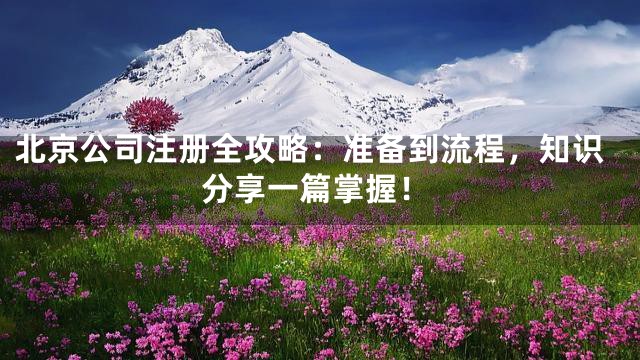 北京公司注册全攻略：准备到流程，知识分享一篇掌握！