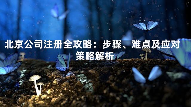 北京公司注册全攻略：步骤、难点及应对策略解析