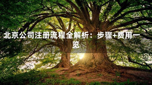 北京公司注册流程全解析：步骤+费用一览