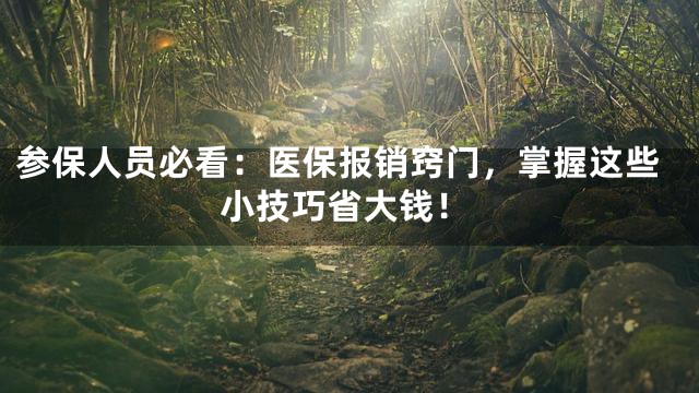 参保人员必看：医保报销窍门，掌握这些小技巧省大钱！