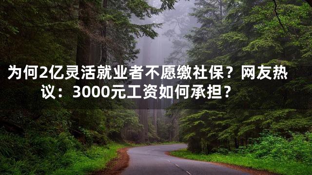 为何2亿灵活就业者不愿缴社保？网友热议：3000元工资如何承担？
