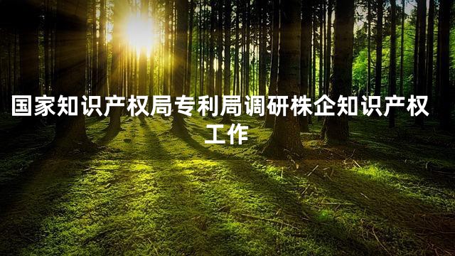 国家知识产权局专利局调研株企知识产权工作