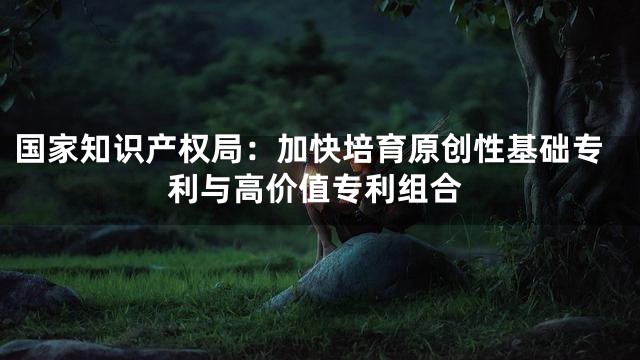 国家知识产权局：加快培育原创性基础专利与高价值专利组合