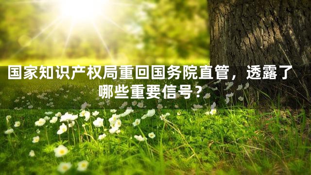 国家知识产权局重回国务院直管，透露了哪些重要信号？