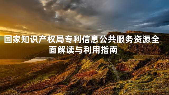 国家知识产权局专利信息公共服务资源全面解读与利用指南