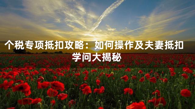 个税专项抵扣攻略：如何操作及夫妻抵扣学问大揭秘