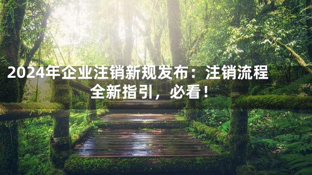 2024年企业注销新规发布：注销流程全新指引，必看！