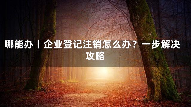 哪能办丨企业登记注销怎么办？一步解决攻略