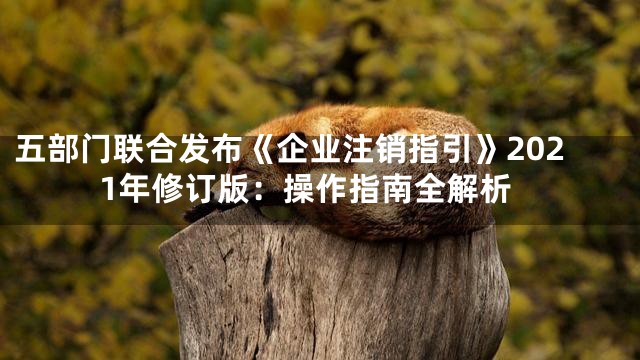 五部门联合发布《企业注销指引》2021年修订版：操作指南全解析