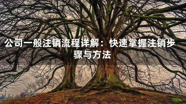 公司一般注销流程详解：快速掌握注销步骤与方法