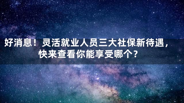 好消息！灵活就业人员三大社保新待遇，快来查看你能享受哪个？