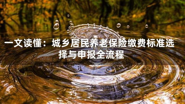 一文读懂：城乡居民养老保险缴费标准选择与申报全流程