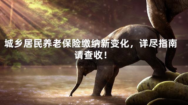 城乡居民养老保险缴纳新变化，详尽指南请查收！