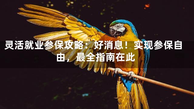灵活就业参保攻略：好消息！实现参保自由，最全指南在此