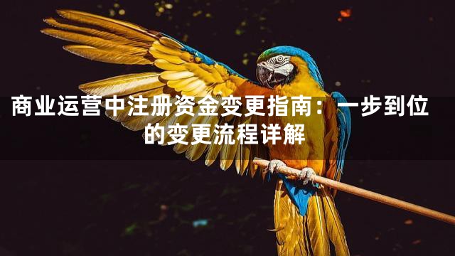 商业运营中注册资金变更指南：一步到位的变更流程详解