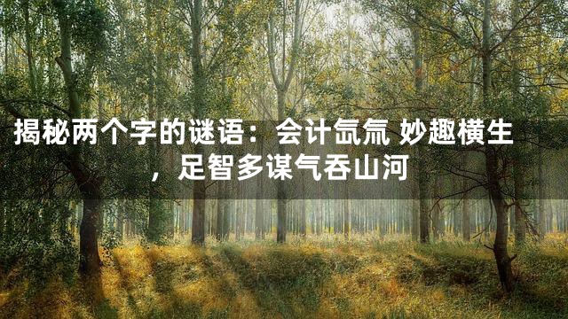 揭秘两个字的谜语：会计氙氚 妙趣横生，足智多谋气吞山河