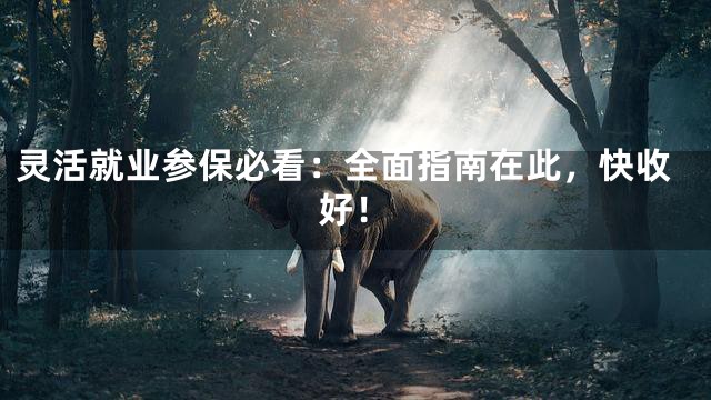 灵活就业参保必看：全面指南在此，快收好！