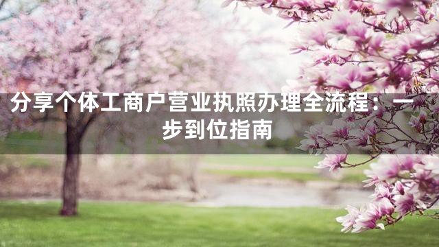 分享个体工商户营业执照办理全流程：一步到位指南