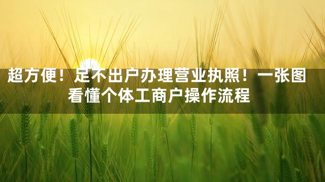 超方便！足不出户办理营业执照！一张图看懂个体工商户操作流程