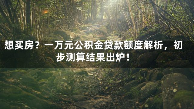 想买房？一万元公积金贷款额度解析，初步测算结果出炉！
