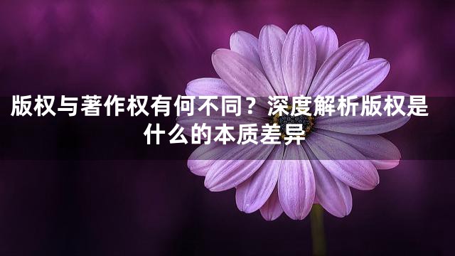 版权与著作权有何不同？深度解析版权是什么的本质差异