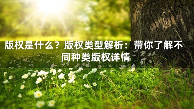版权是什么？版权类型解析：带你了解不同种类版权详情