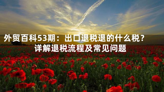 外贸百科53期：出口退税退的什么税？详解退税流程及常见问题