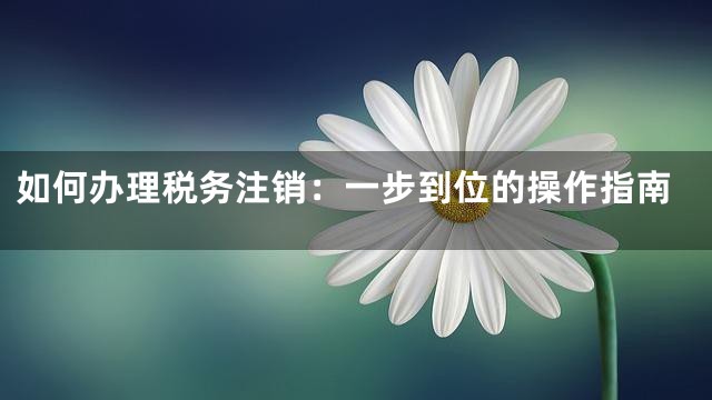 如何办理税务注销：一步到位的操作指南