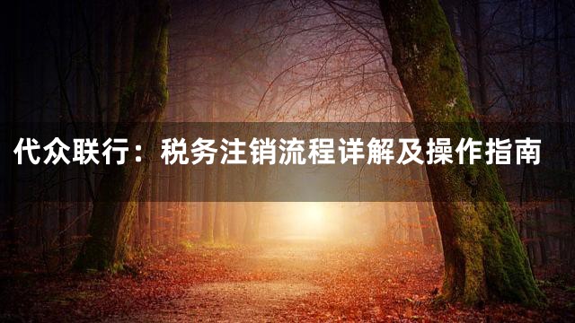 代众联行：税务注销流程详解及操作指南