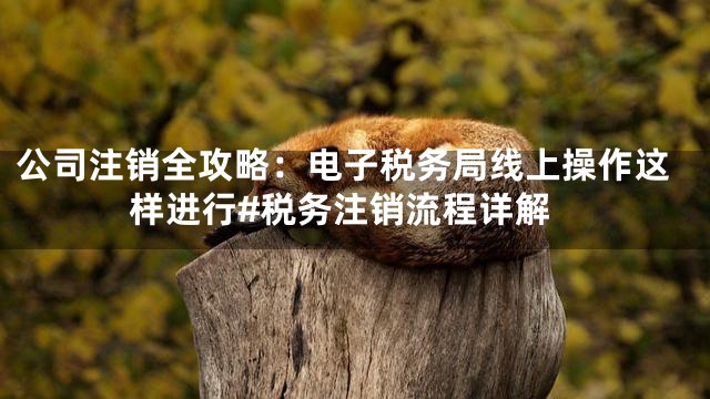 公司注销全攻略：电子税务局线上操作这样进行#税务注销流程详解
