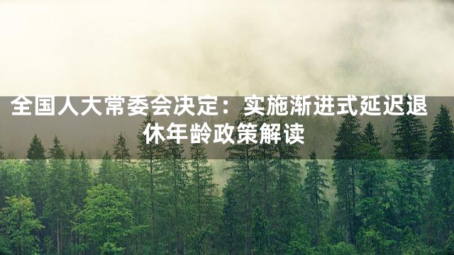 全国人大常委会决定：实施渐进式延迟退休年龄政策解读