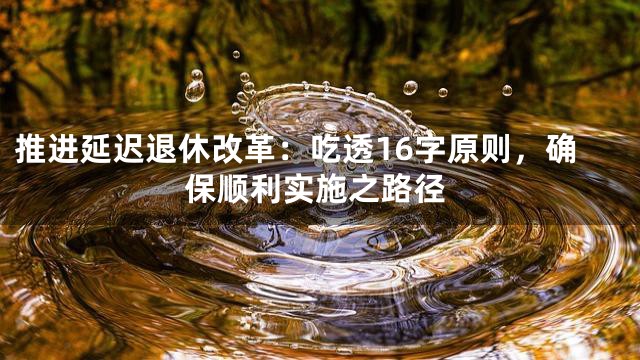 推进延迟退休改革：吃透16字原则，确保顺利实施之路径