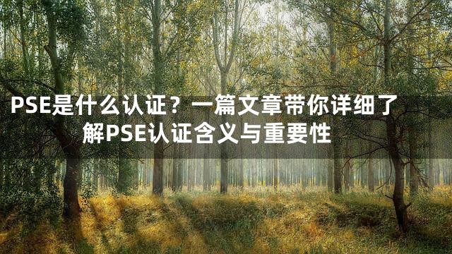 PSE是什么认证？一篇文章带你详细了解PSE认证含义与重要性