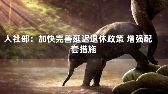 人社部：加快完善延迟退休政策 增强配套措施