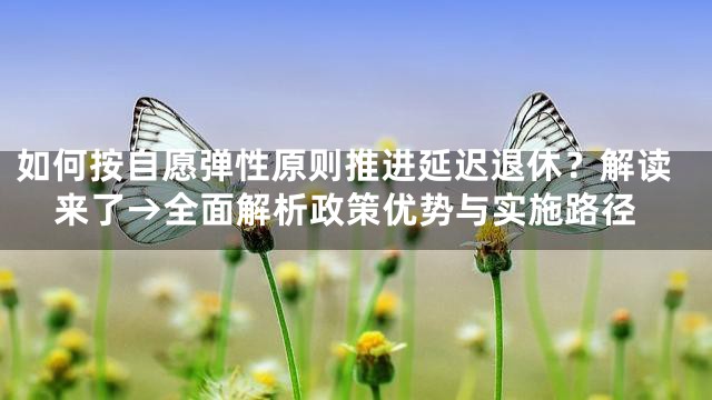 如何按自愿弹性原则推进延迟退休？解读来了→全面解析政策优势与实施路径