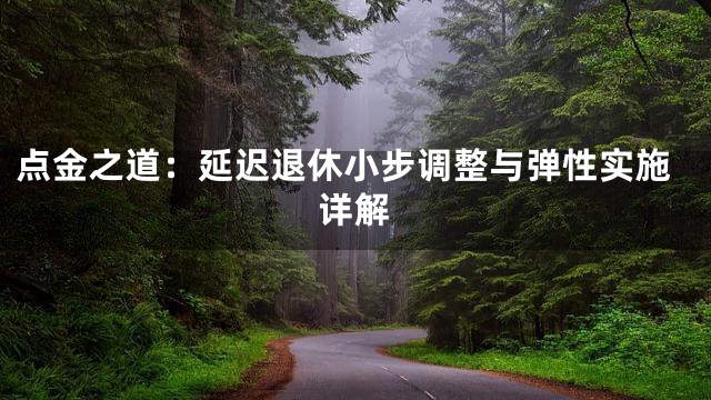 点金之道：延迟退休小步调整与弹性实施详解
